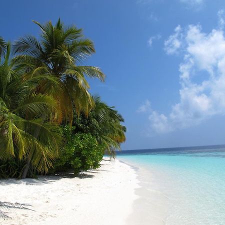 מלון אדו אטול Equa Reef Maldives מראה חיצוני תמונה