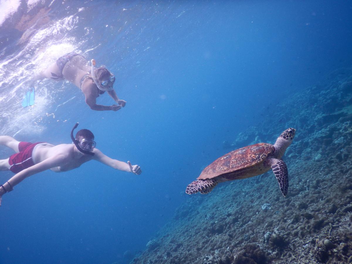 מלון אדו אטול Equa Reef Maldives מראה חיצוני תמונה