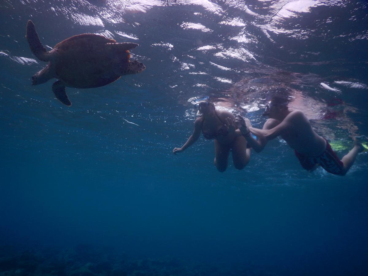 מלון אדו אטול Equa Reef Maldives מראה חיצוני תמונה