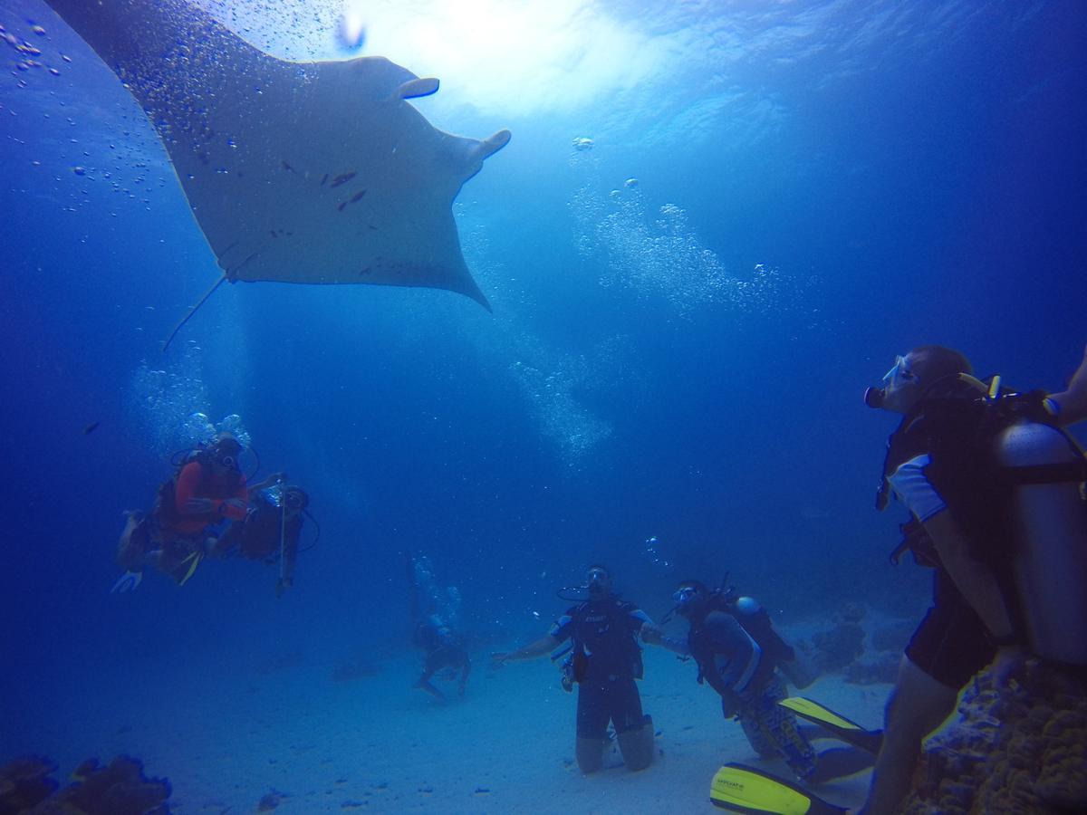 מלון אדו אטול Equa Reef Maldives מראה חיצוני תמונה