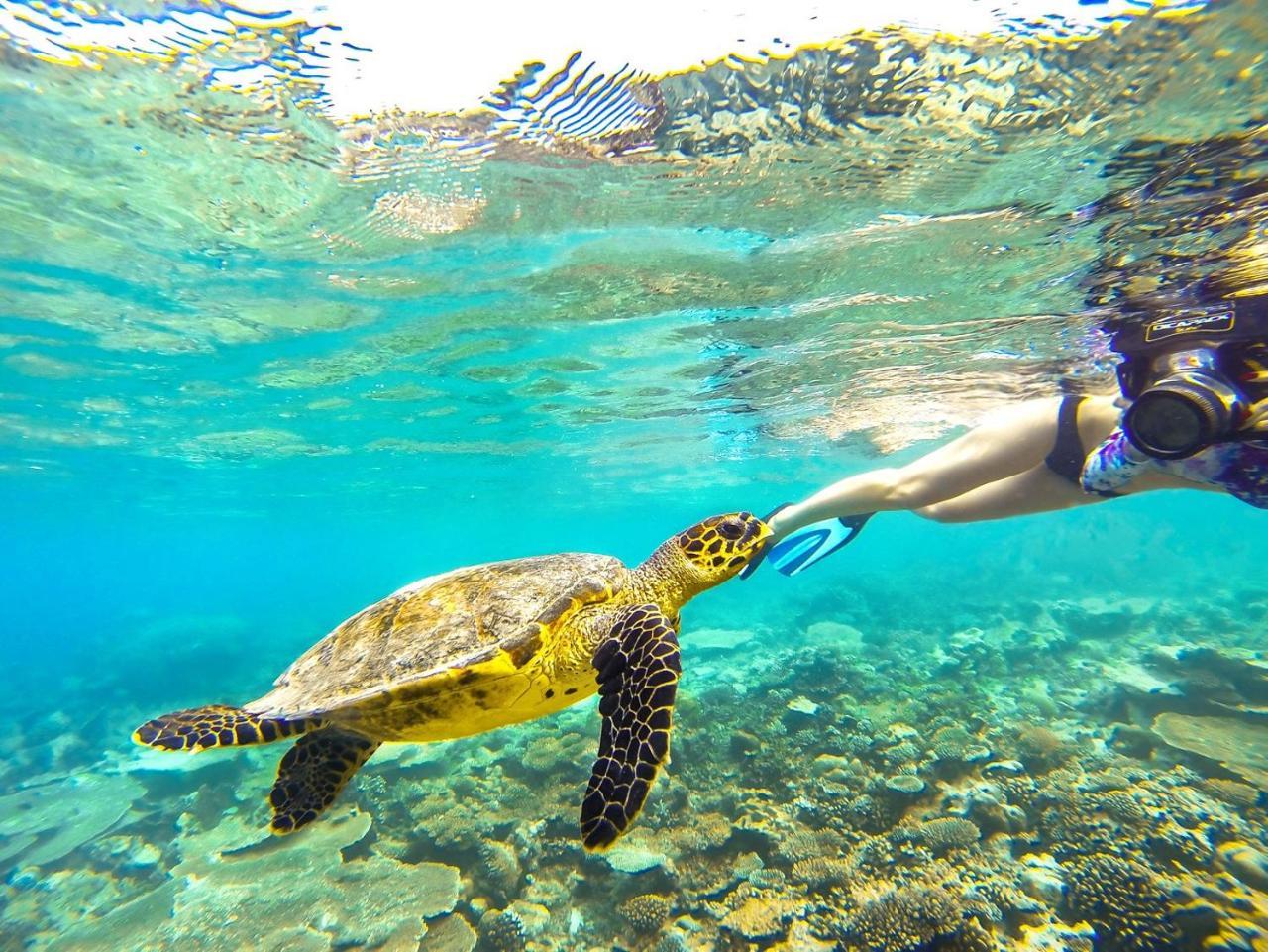 מלון אדו אטול Equa Reef Maldives מראה חיצוני תמונה