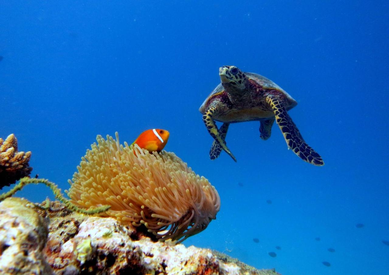 מלון אדו אטול Equa Reef Maldives מראה חיצוני תמונה