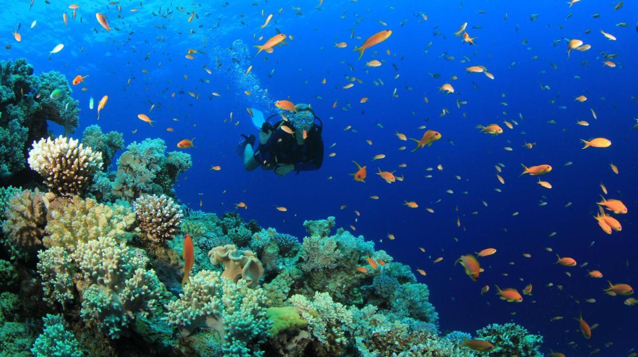 מלון אדו אטול Equa Reef Maldives מראה חיצוני תמונה